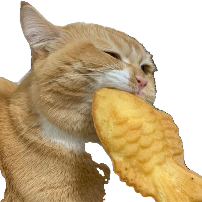 Smug Cat, eyes nearly closed, resting a golden fish pastry against his cheek